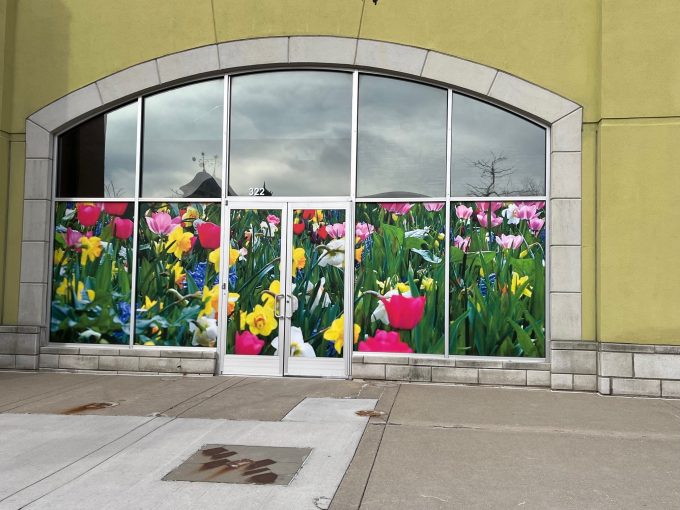 Temporary Storefront graphics